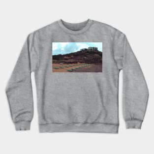 Sunbeds Crewneck Sweatshirt